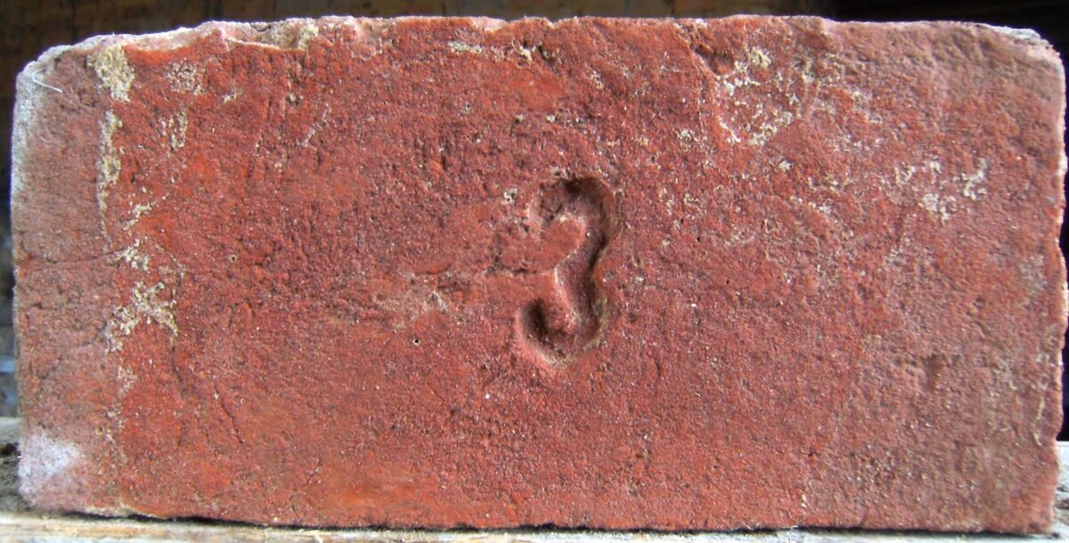 DSCF0251.JPG