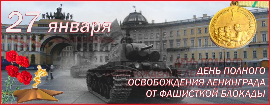7144559.jpg