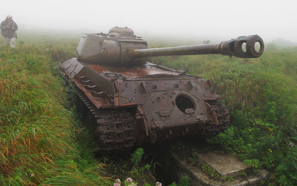 ИС-2_ДОТ-.jpg