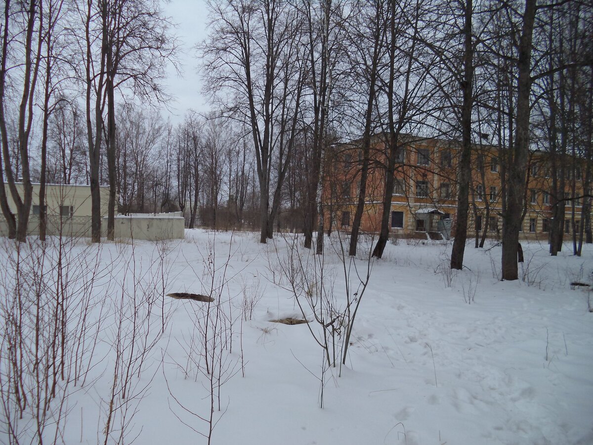 DSC00735.JPG