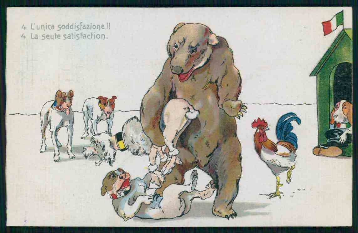 ii-Bear-dog-monkey-rooster-WWI-ww1-war.jpg