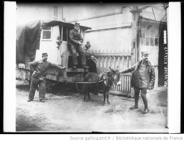 anetirantuncamion.jpg