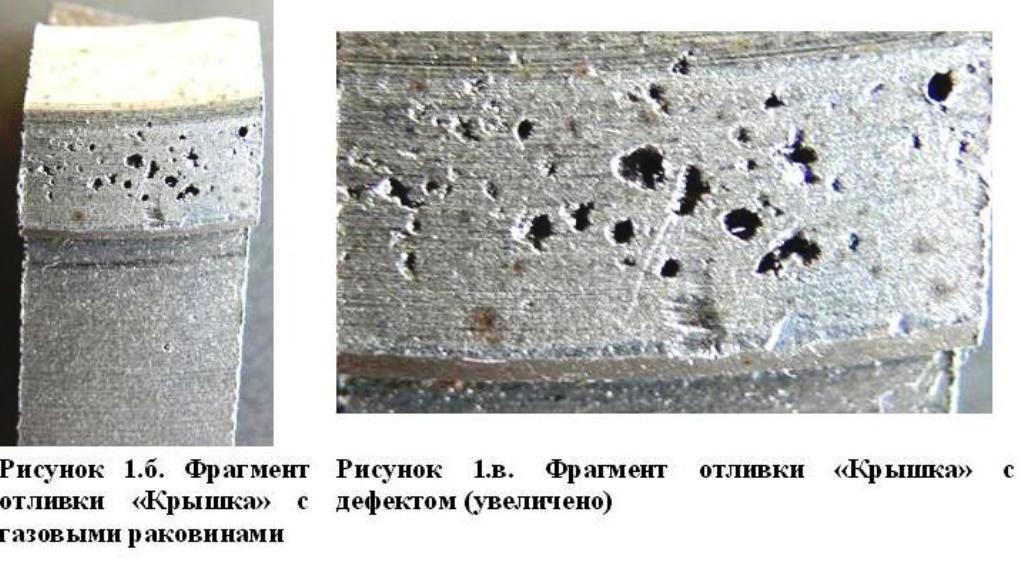 Организм изображенный на рисунке использует поры в раковинке для