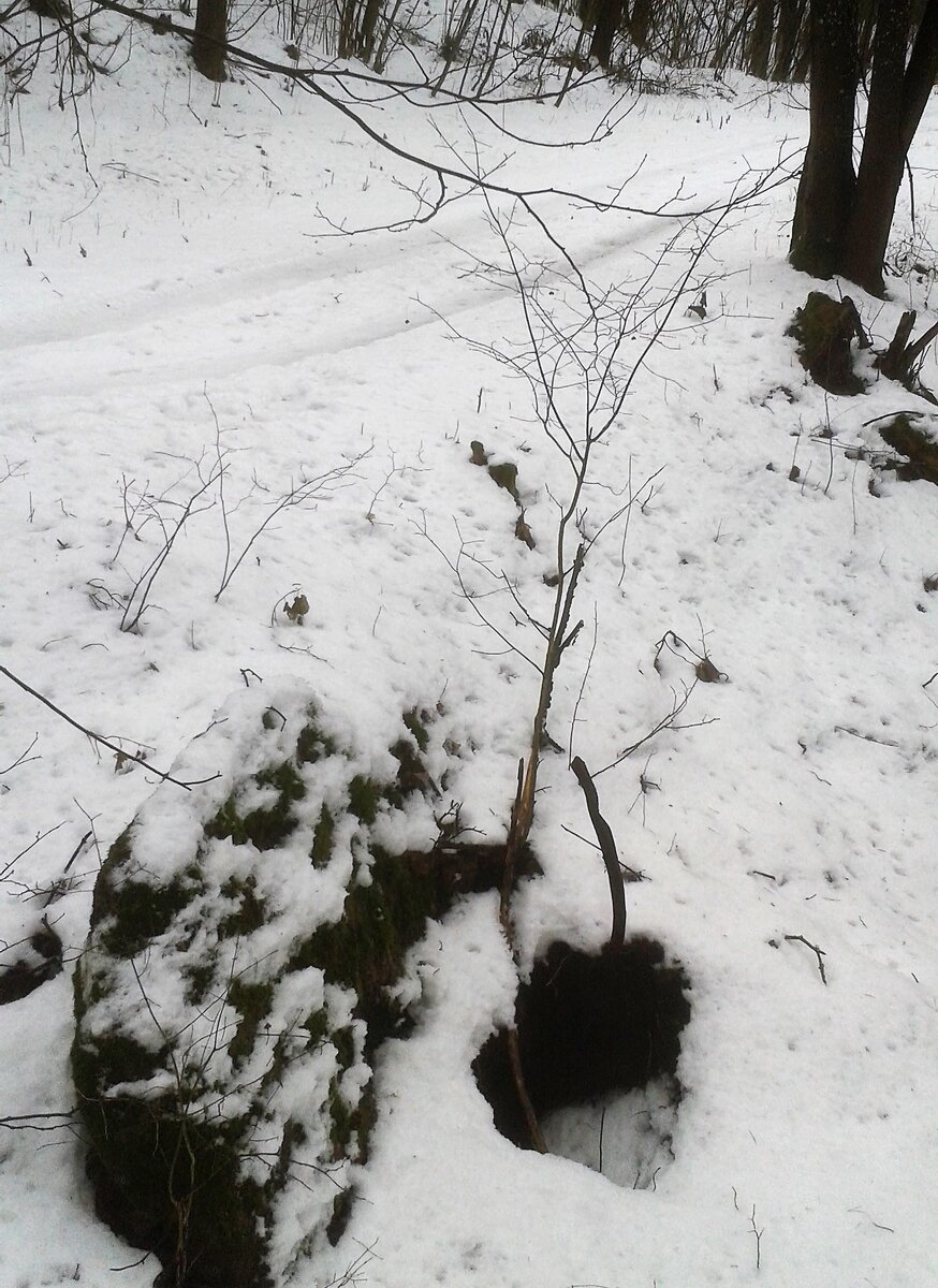 20170121_140659.jpg