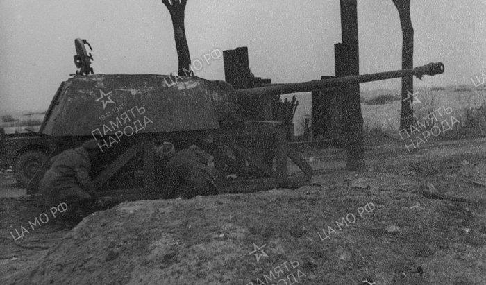 Pantherturm Kustrin 2.jpg