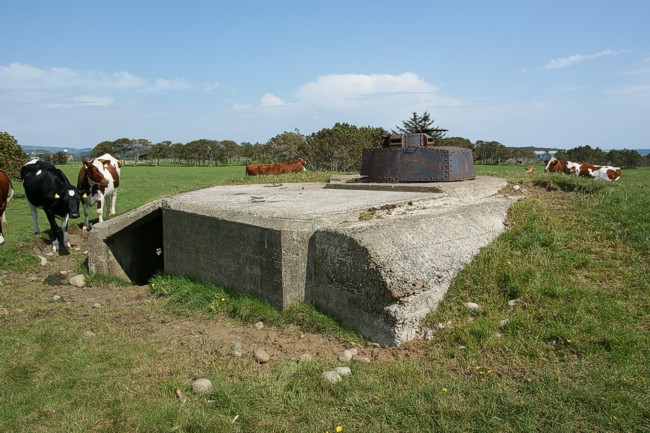 osthassel-tank3.jpg