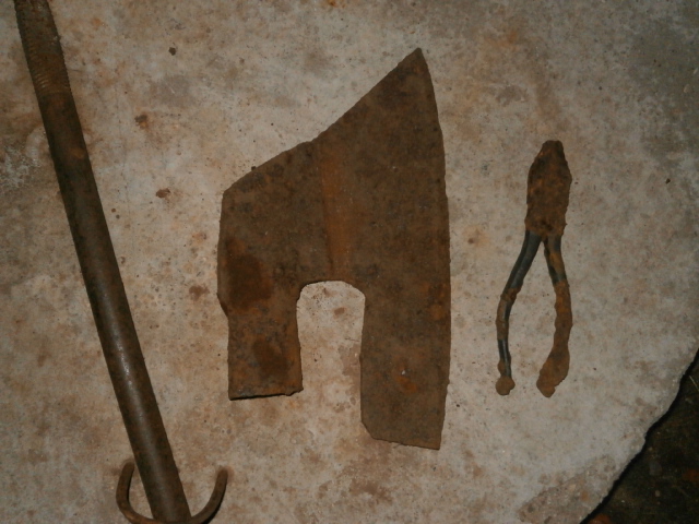 P3100847.JPG