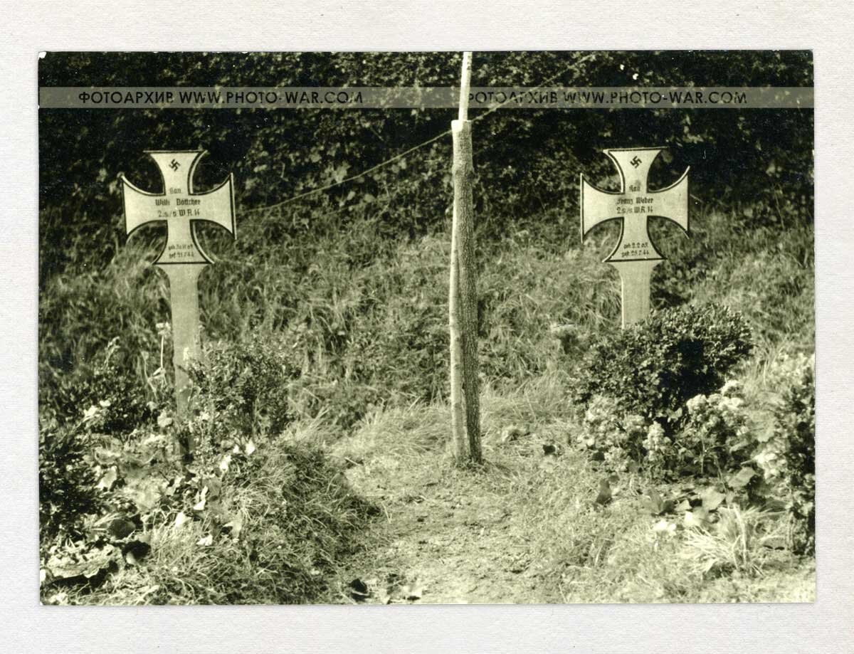 05.jpg