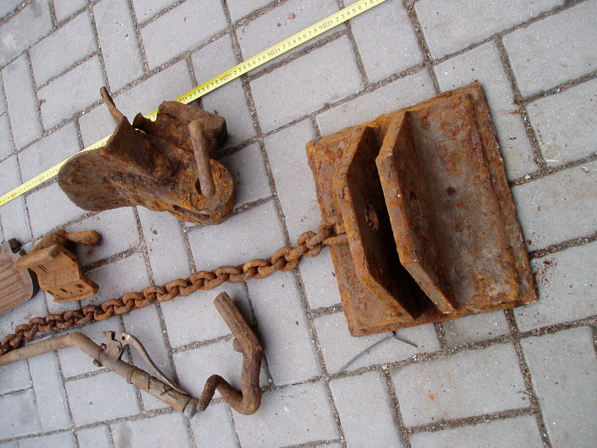 P1010007.JPG