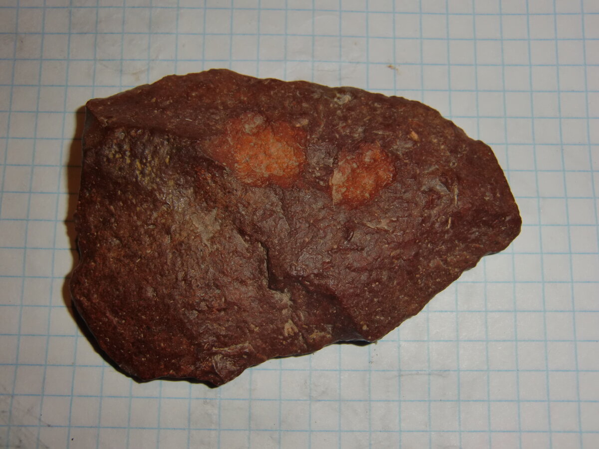 CIMG0158.JPG