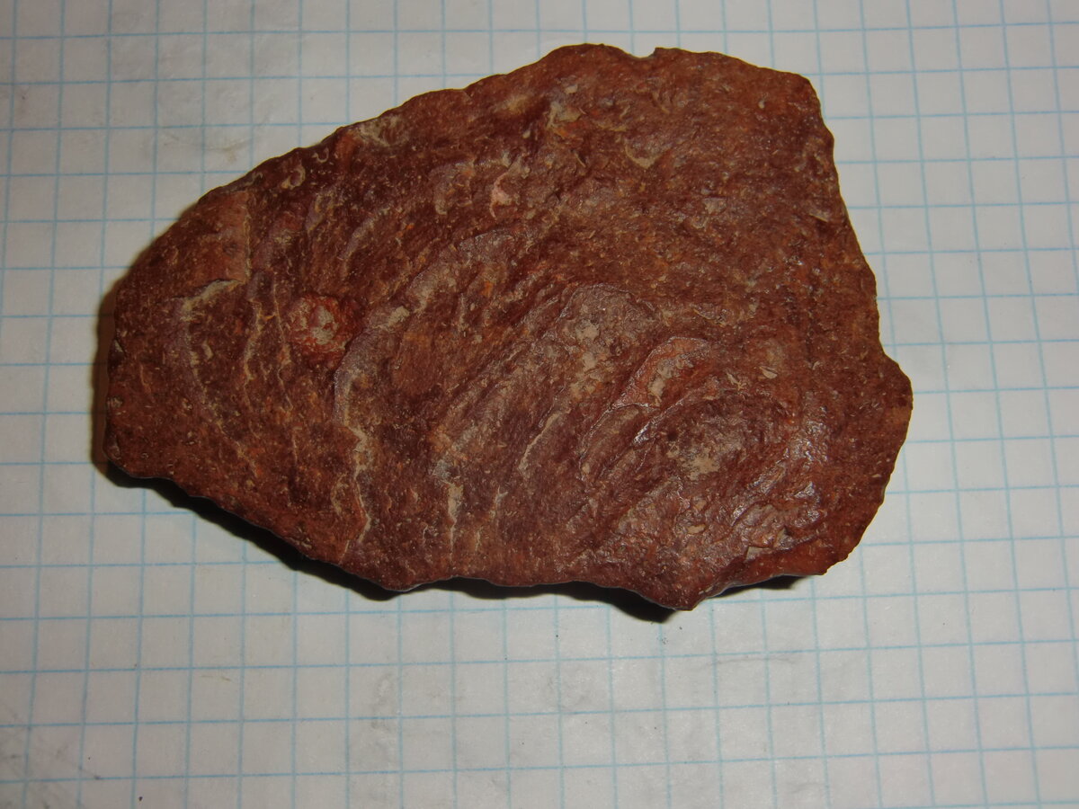 CIMG0159.JPG