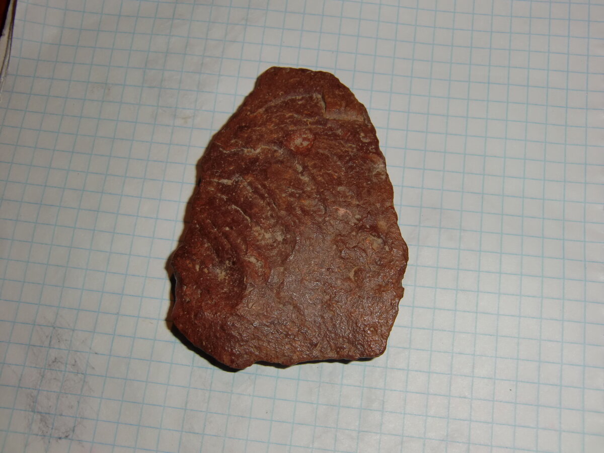 CIMG0160.JPG
