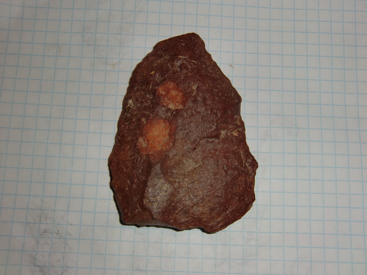 CIMG0161.JPG