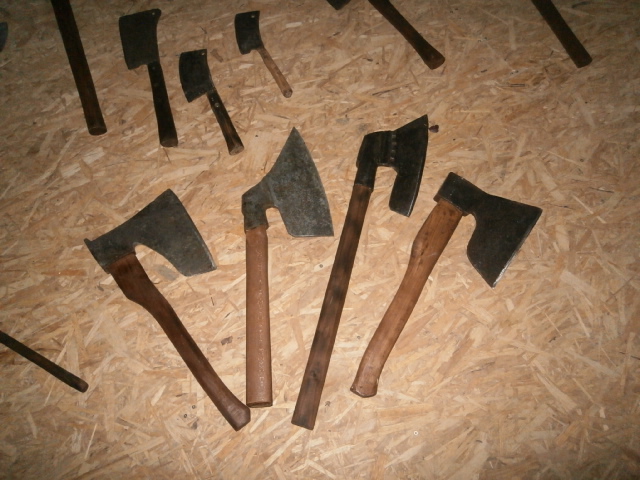 P3130873.JPG