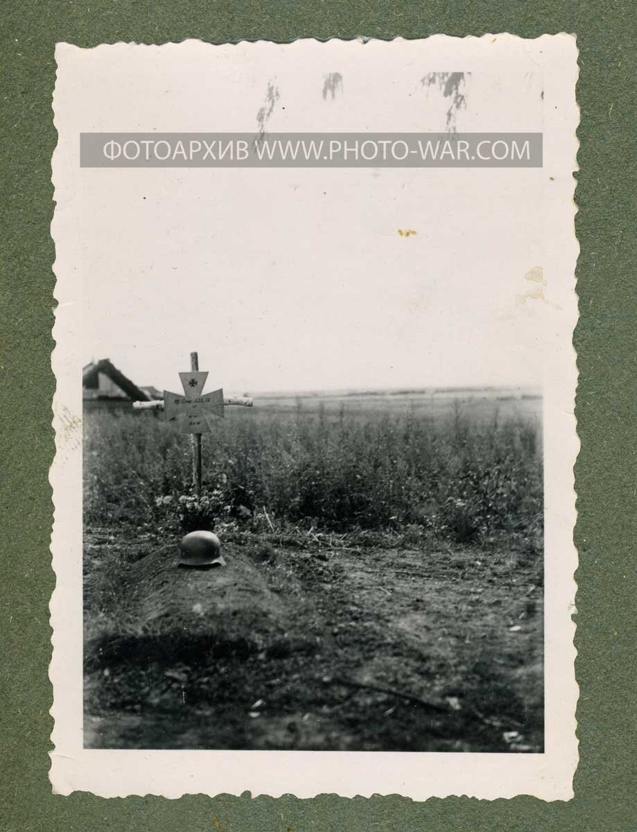 469.jpg