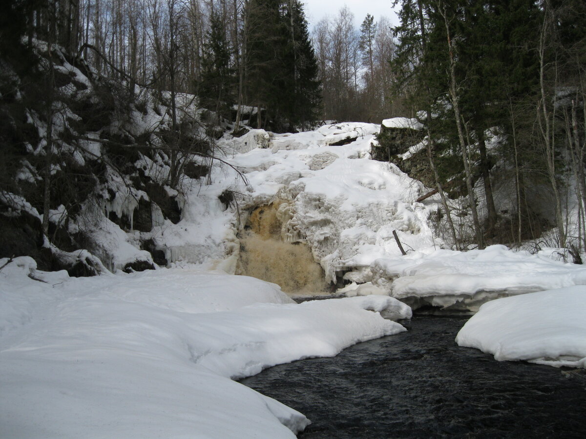IMG_4611.JPG