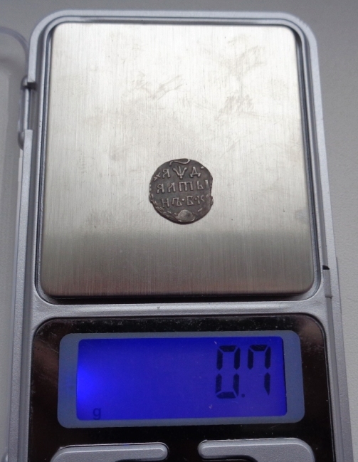 7013557.jpg