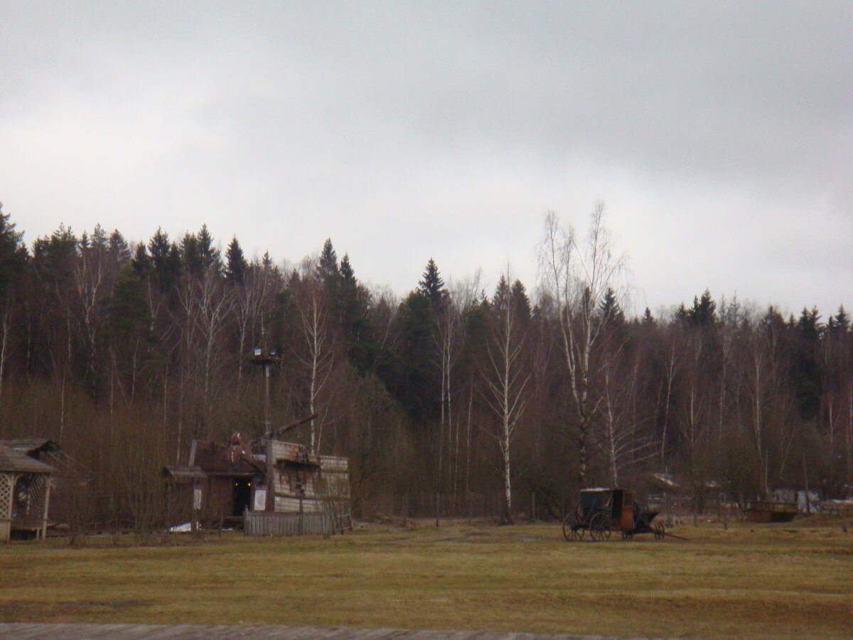 DSC03290.JPG