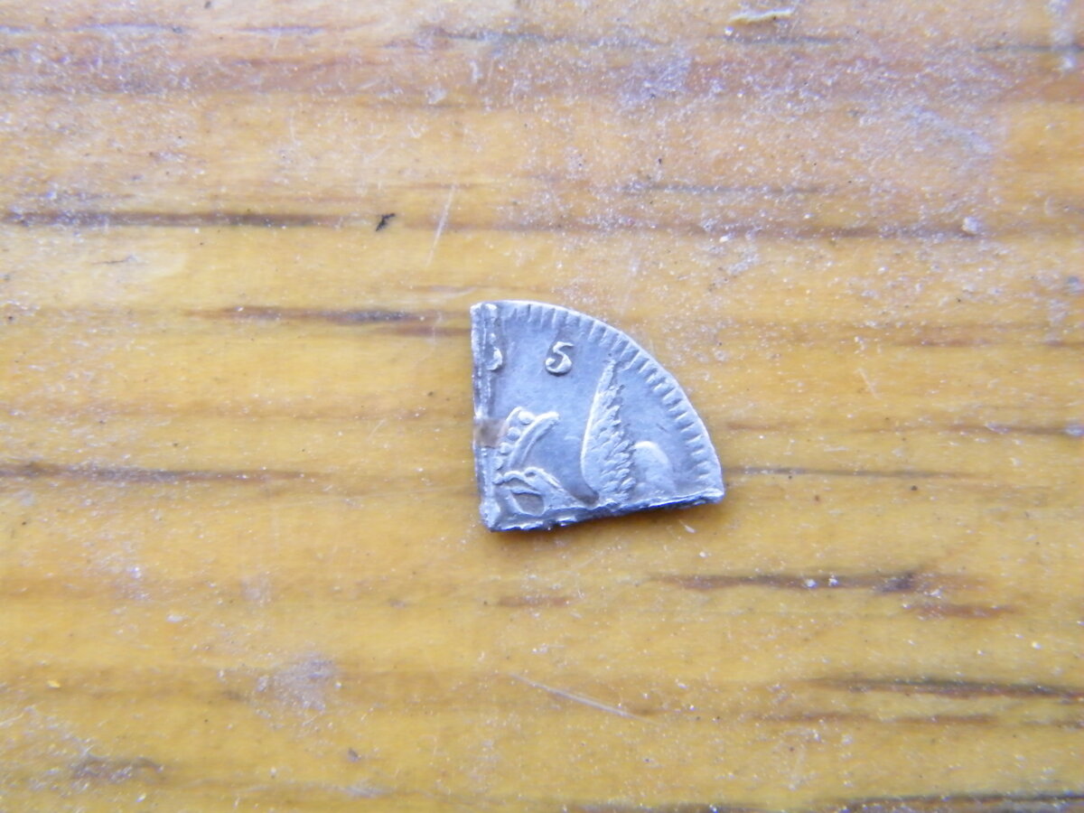 DSCF2435.JPG