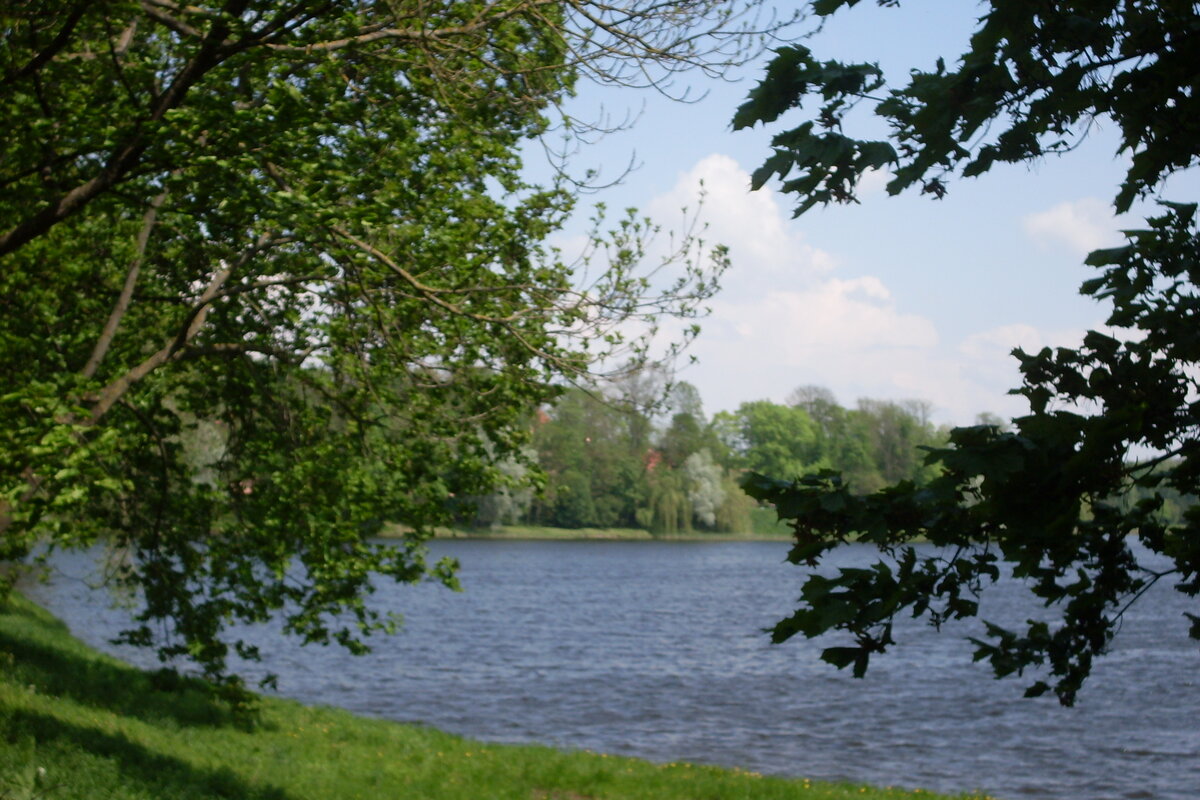 SDC13626.JPG