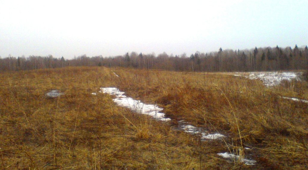 DSC00902.JPG