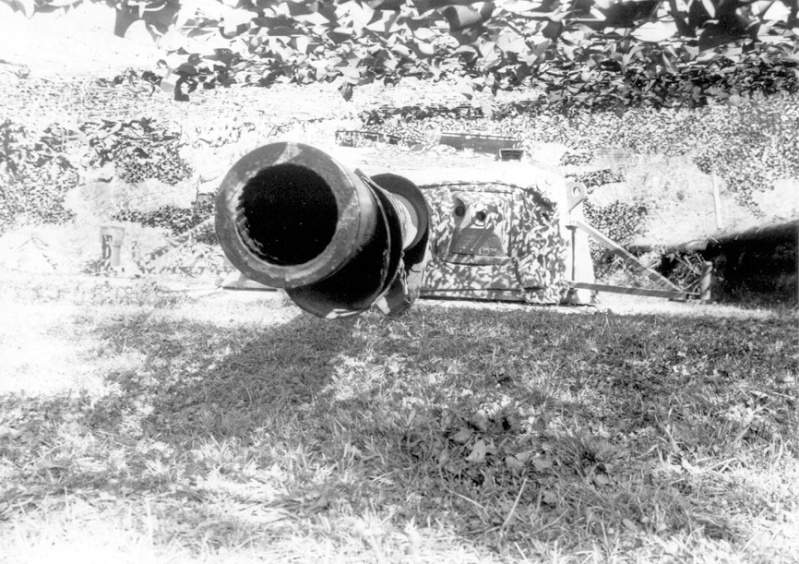 f410.jpg