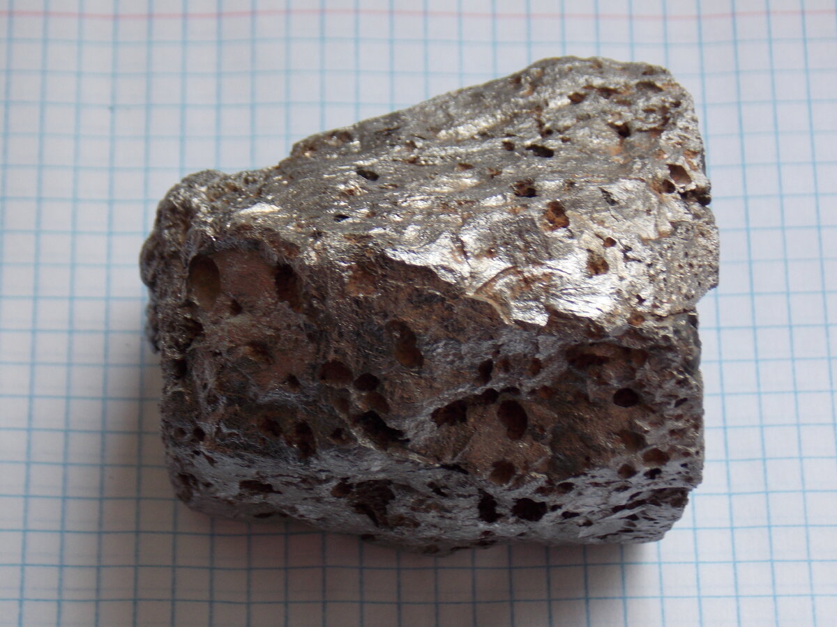 DSCN0795.JPG