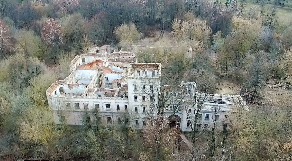 image (1).jpg