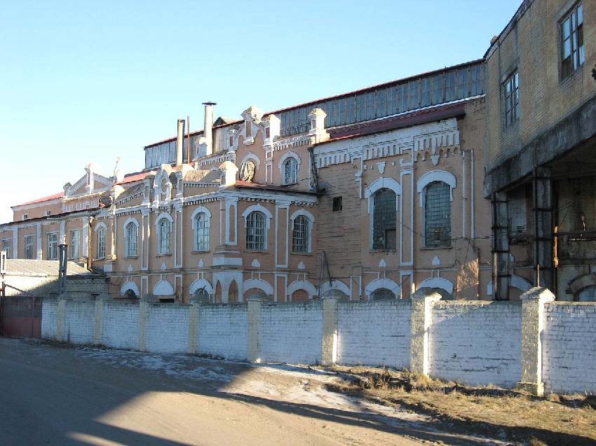 image (8).jpg