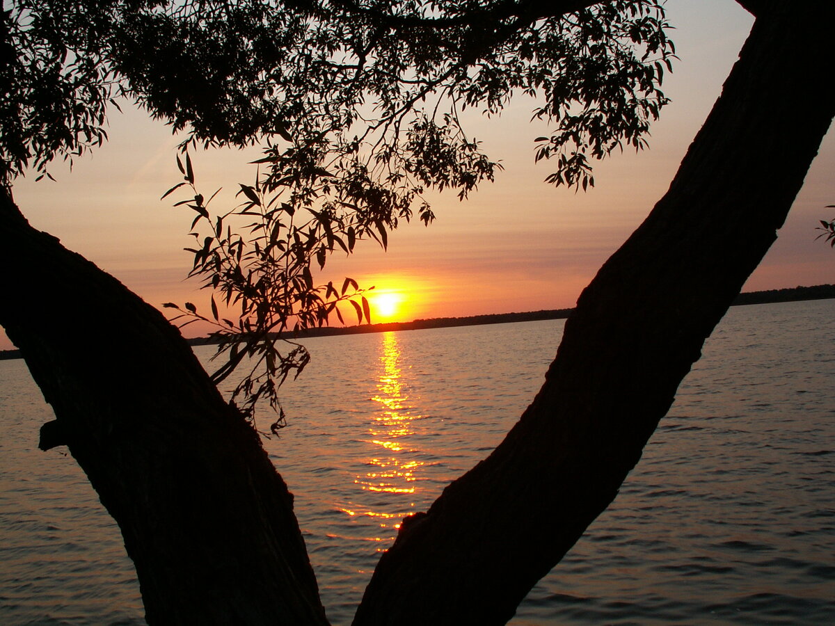 PICT7191.JPG