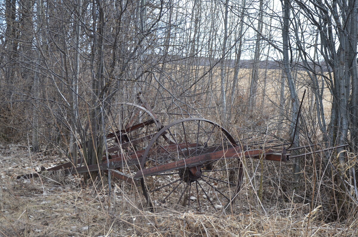 DSC_3606.JPG
