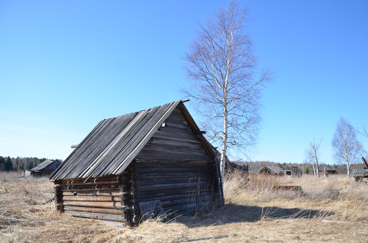 DSC_3613.JPG