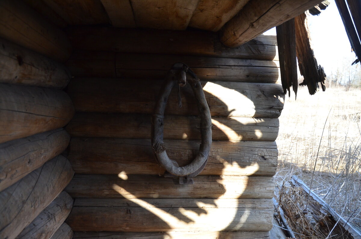 DSC_3623.JPG