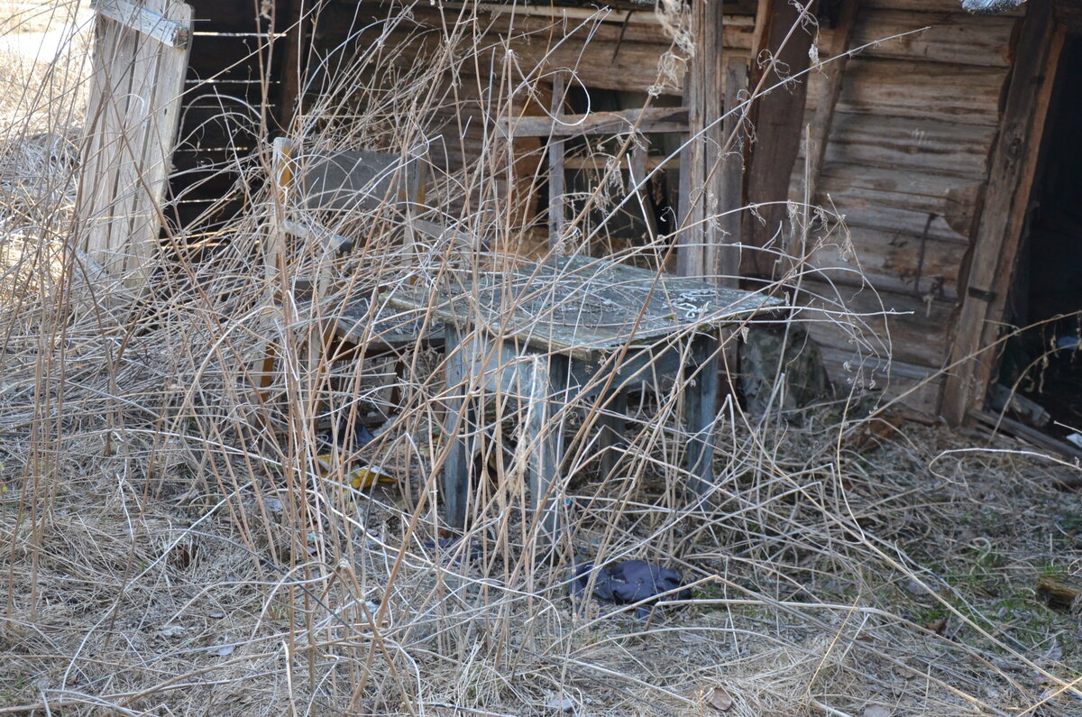 DSC_3633.JPG