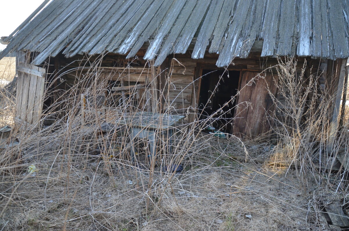 DSC_3635.JPG