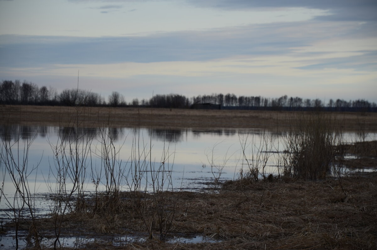 DSC_3653.JPG