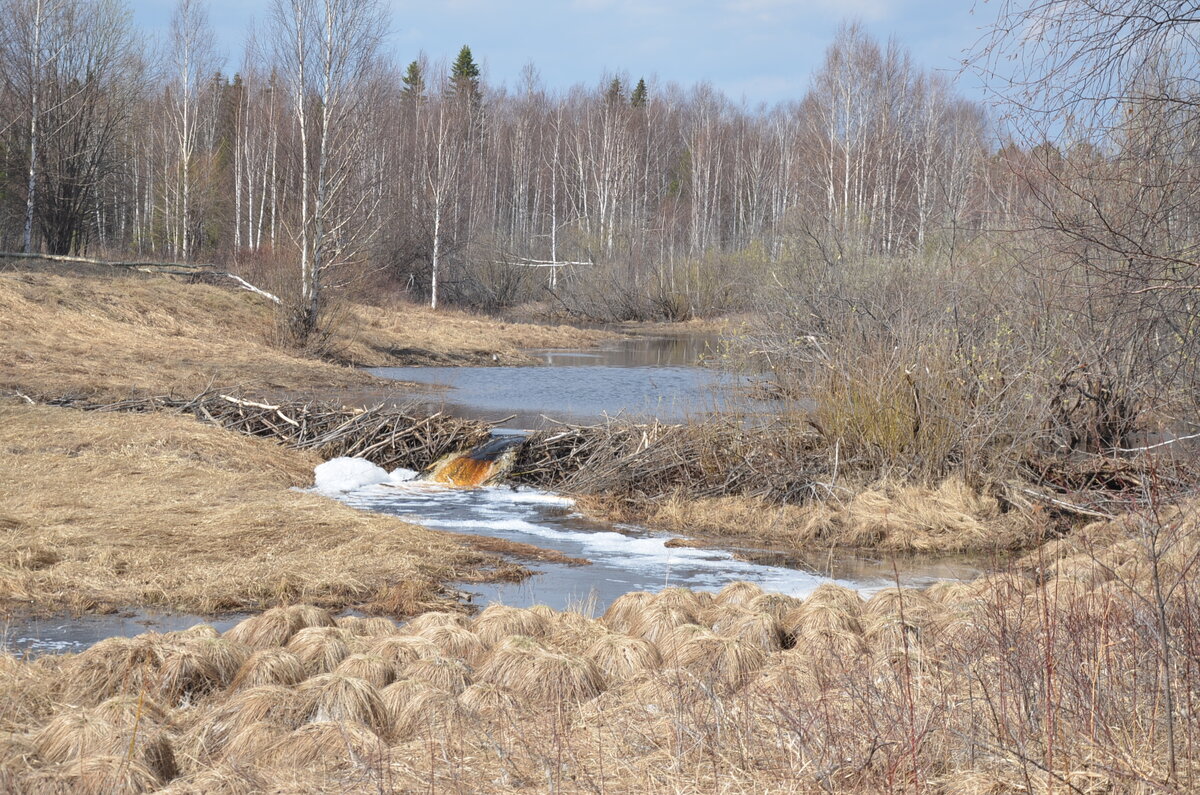 DSC_3747.JPG