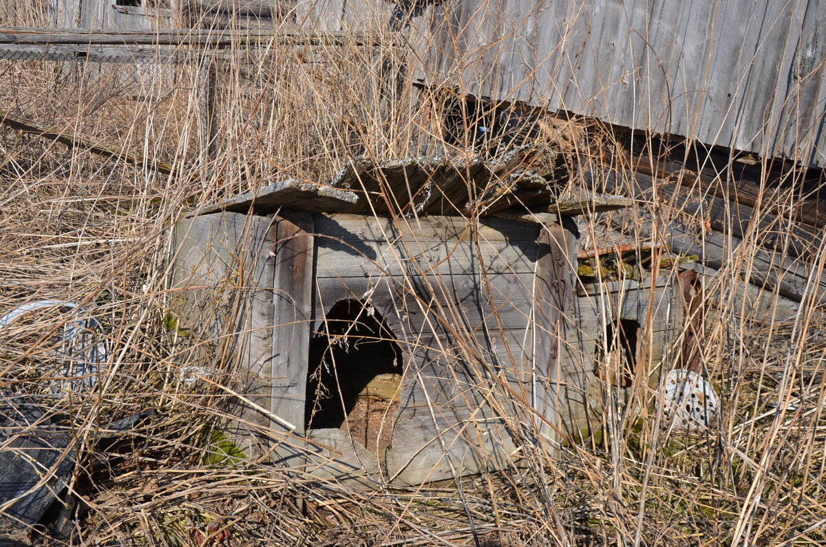 DSC_3771.JPG