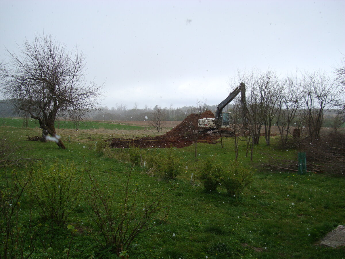 DSC08464.JPG