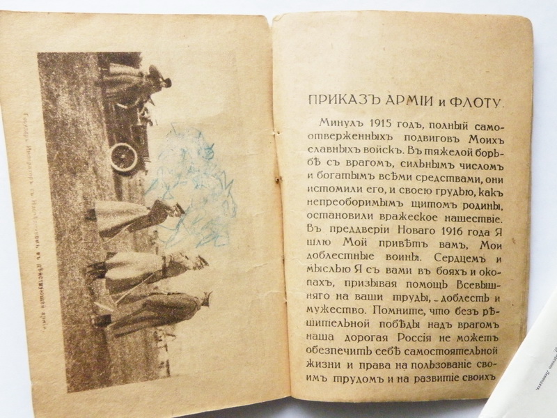 P3150049_noviy_razmer.JPG