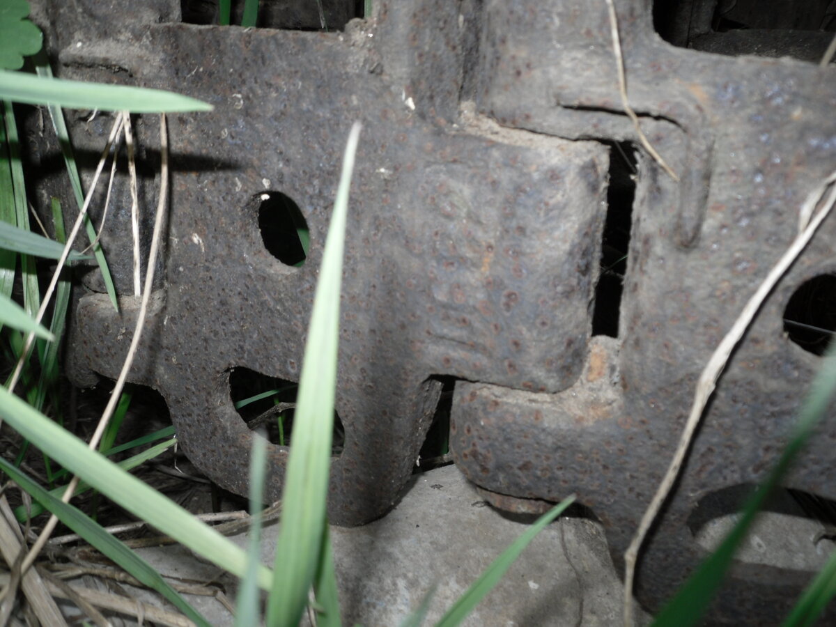 SDC16762.JPG