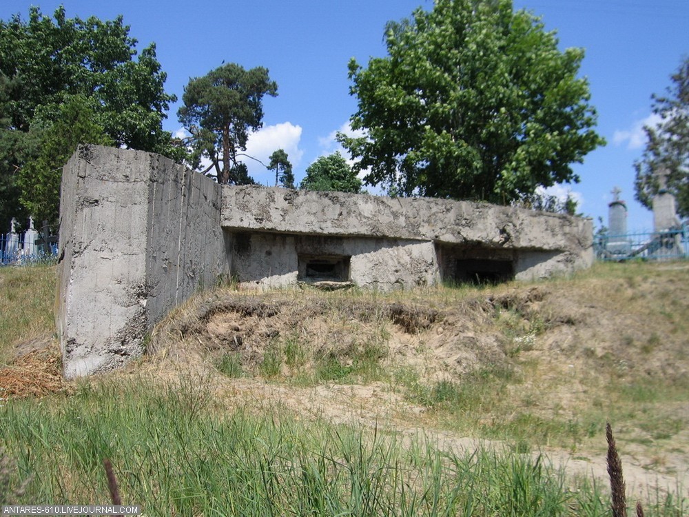 05.jpg