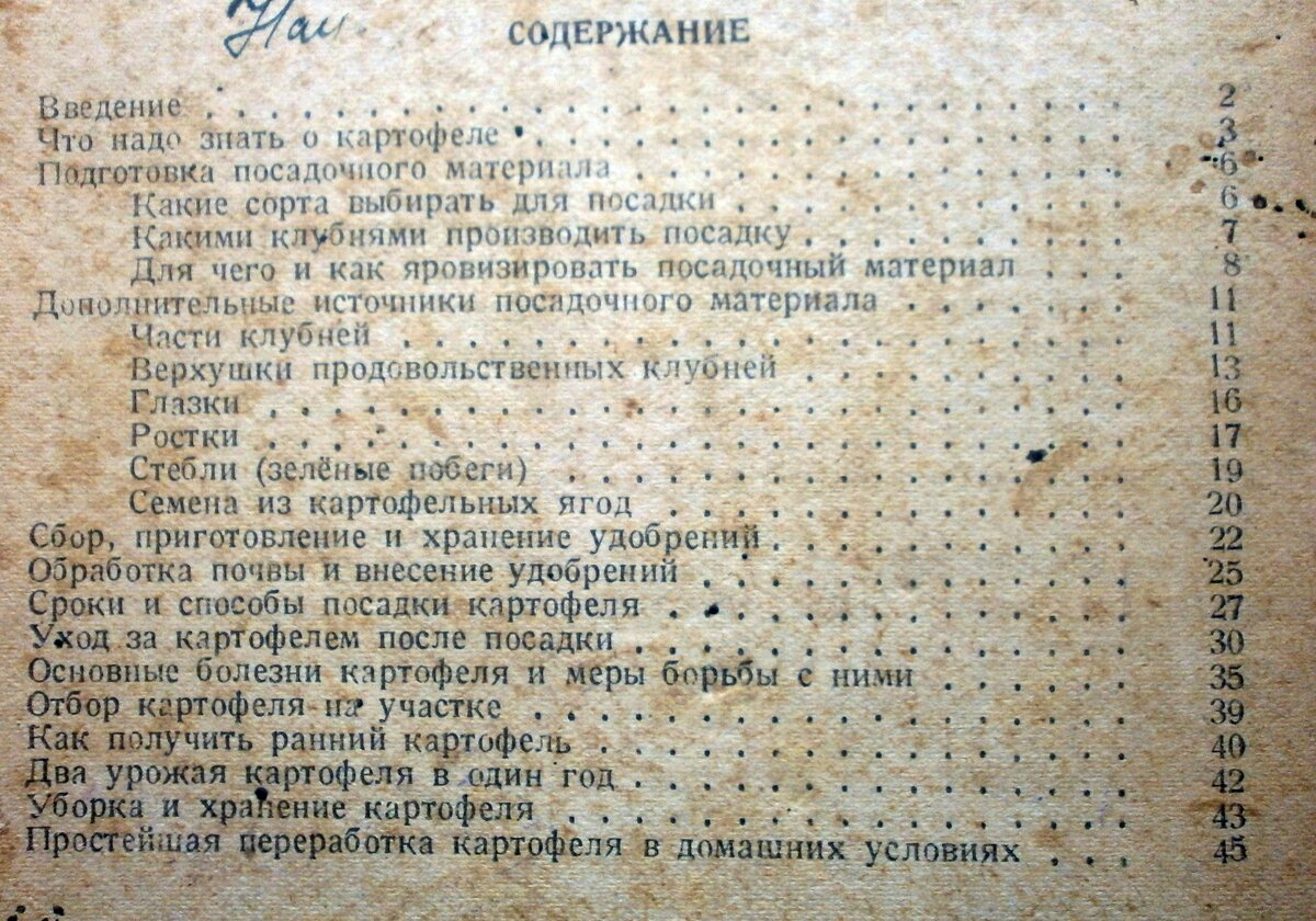 P4172351.JPG
