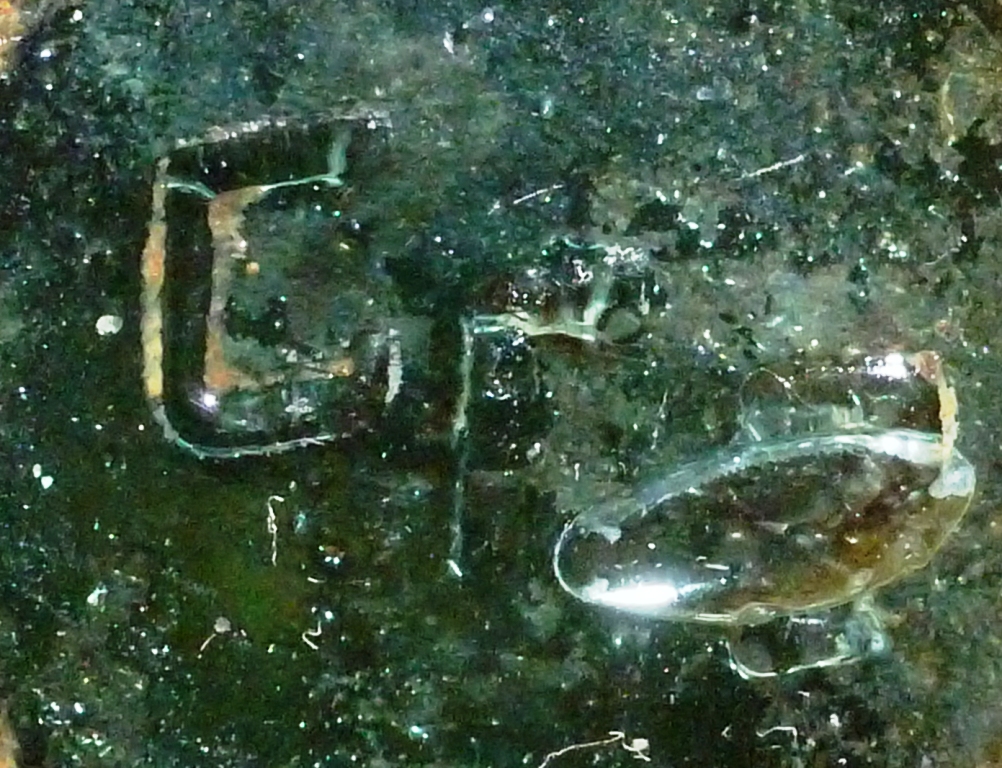 P1420179.JPG