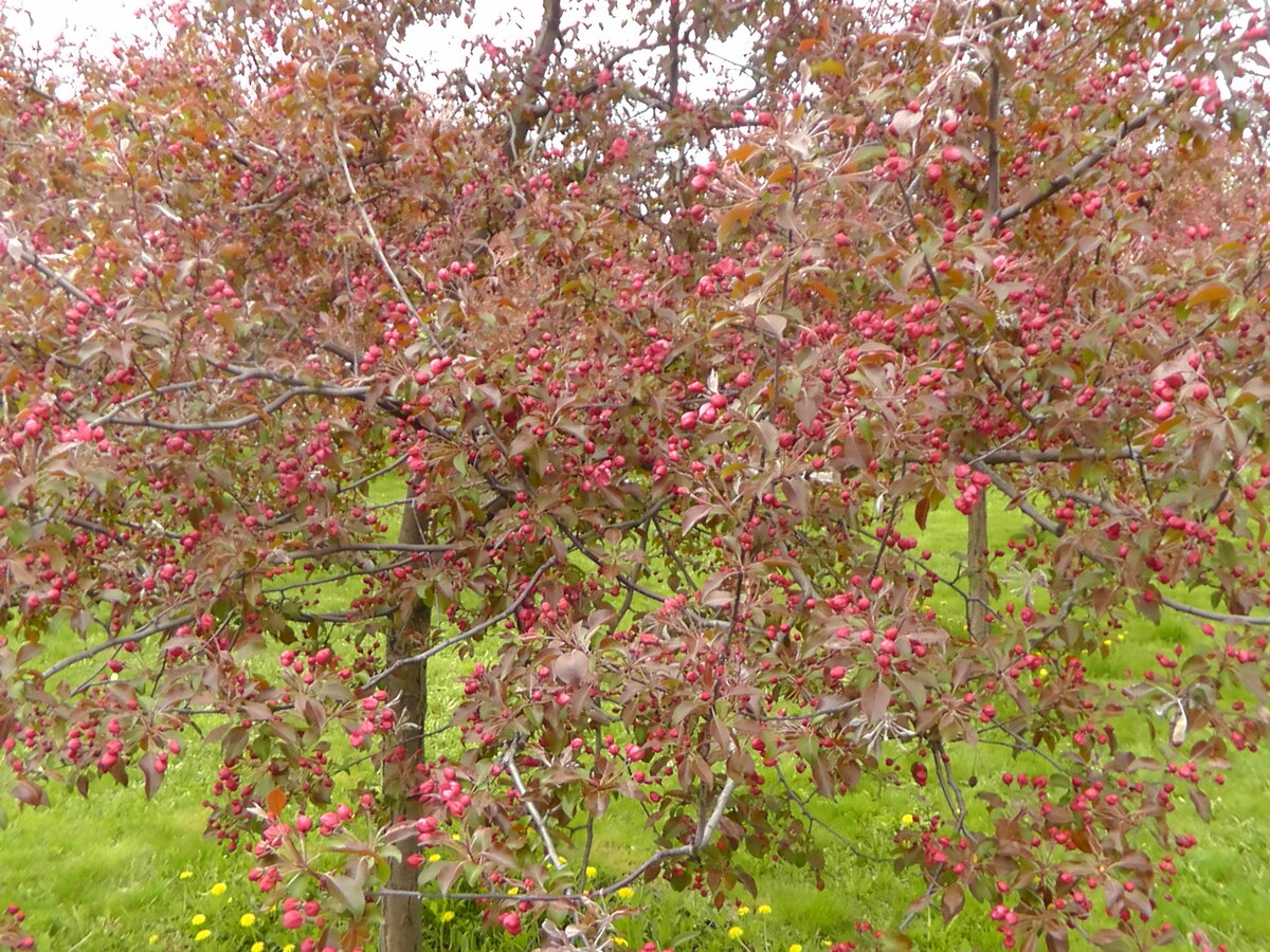 S2620030.JPG