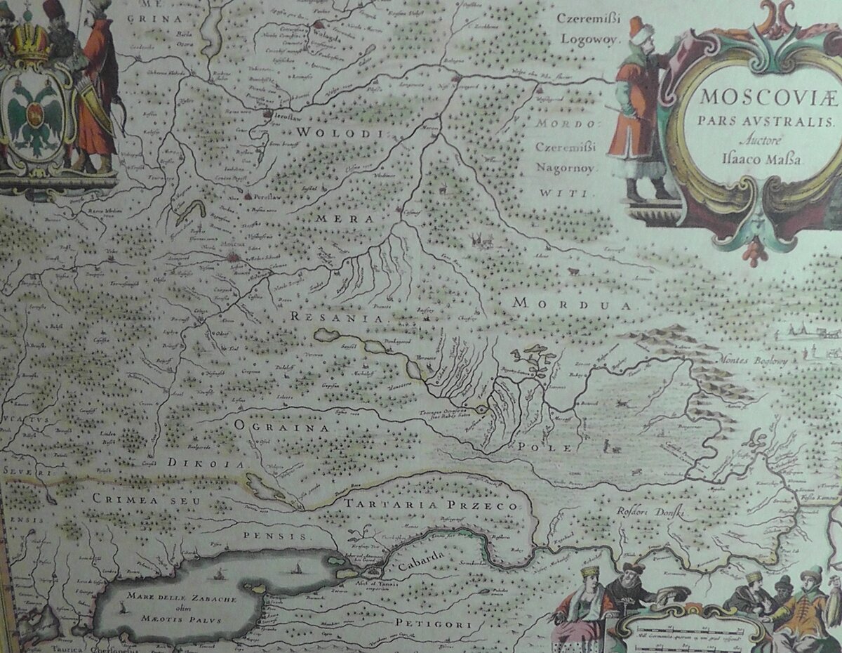 S2620285.JPG