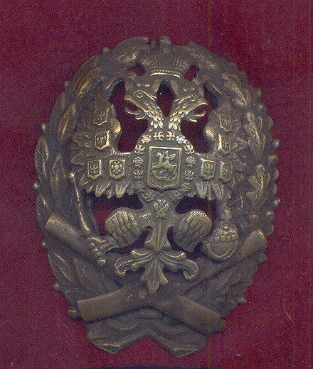 9311b155.jpg