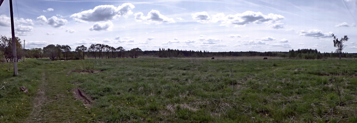 P1090894 22 11 00.JPG