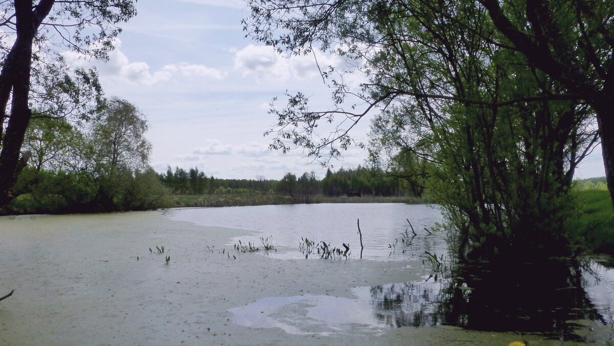 P1090898.JPG