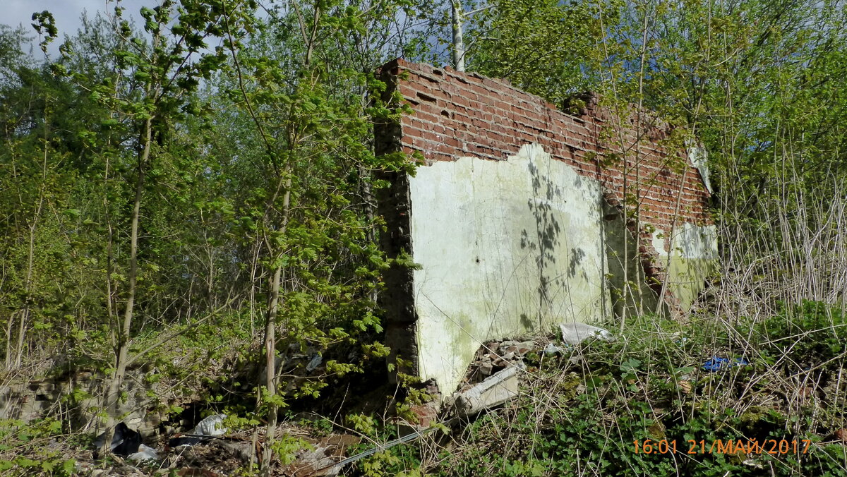 P1090870.JPG